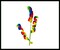 Rainbow Curly Spray for Wreaths and Floral Arrangements - Add a Touch of Color and Fun to Your Creations-63235RAINBOW